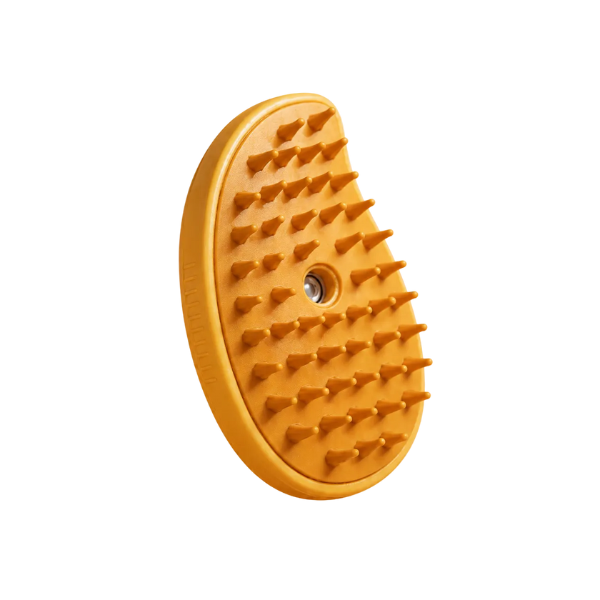 Honey Gold